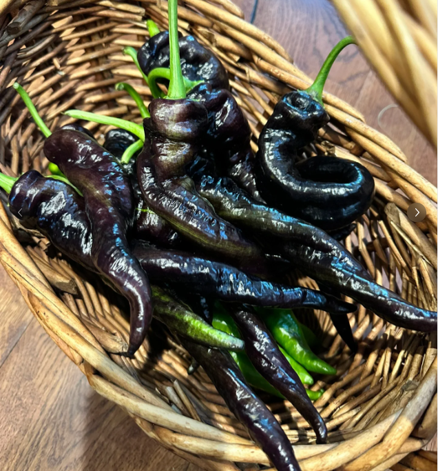 Semillas de pimiento morado-negro
