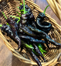 Semillas de pimiento morado-negro