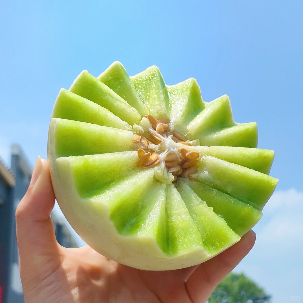 Jade Mushroom🍄Semillas de melón🍈