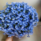 Semillas de Lobelia - Una de las mejores plantas para bordes