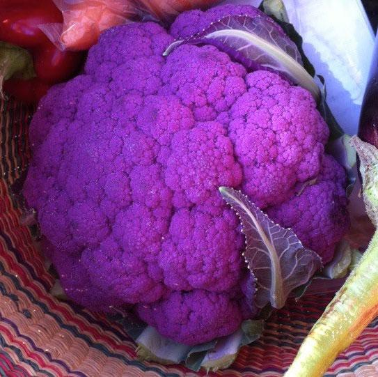 Cauliflower Graffiti F1