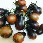 Semillas de tomate Blue Keyes • Cereza tipo pera, color antocianina oscuro • Polinización abierta • Variedad moderna