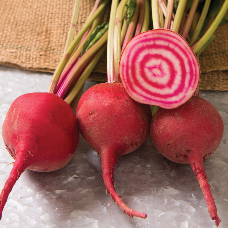 💞Beetroot Seeds