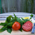 Tomates Tesoro del Jardín