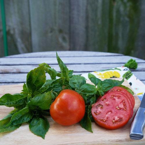 Tomates Tesoro del Jardín