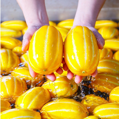 Semillas de melón dorado