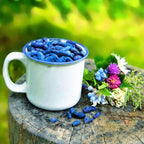 Egrow 50 unidades, 100 unidades/paquete de semillas de fruta Lonicera Caerulea para jardín, plantas de miel y arándanos