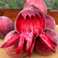 Semillas de melocotón de sangre