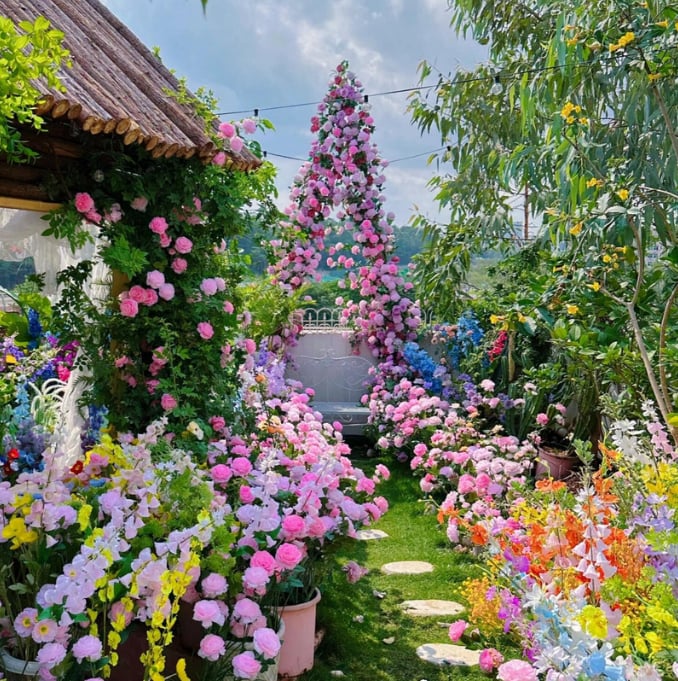 Promoción de primavera 49% DE DESCUENTO - 🌱Semillas de rosal trepador