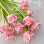 Semillas de tulipán de color raro para bonsái