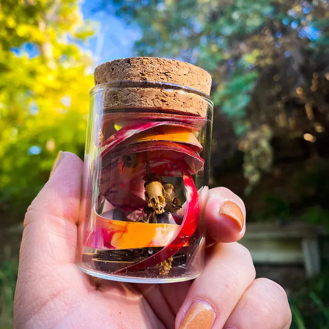 Semillas de mezcla personalizada de boca de dragón Skull Flower