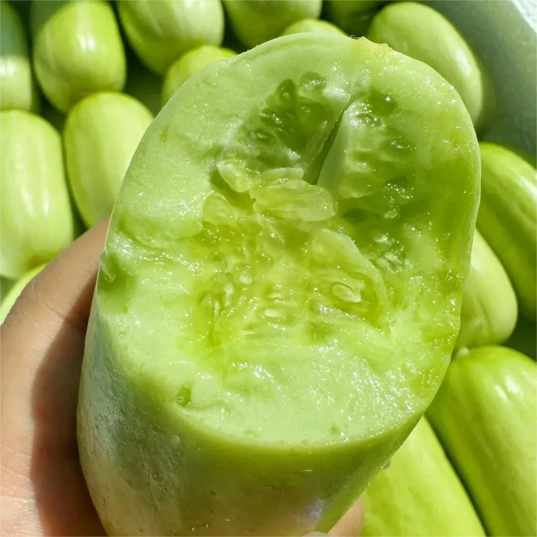 🥒 Pepino Jade Maiden - Dulce, Crujiente y Refrescante