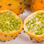 Semillas de Fruto de Ginseng de Fuego
