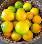 Semillas de Fruta Dorada