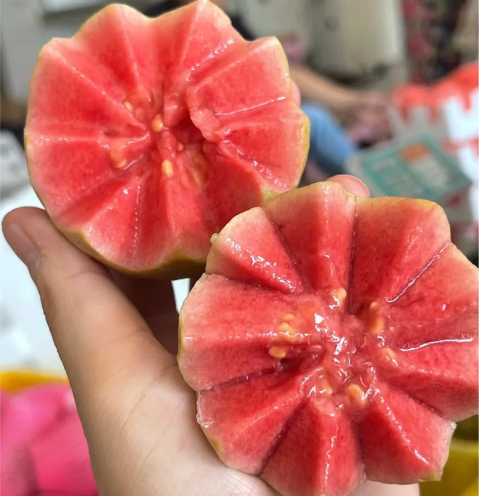 Semillas de guayaba rosada orgánica tropical de fresa y guayaba