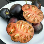 Tomate Giant Black Beauty