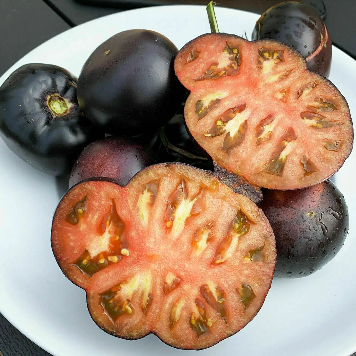 Tomate Giant Black Beauty