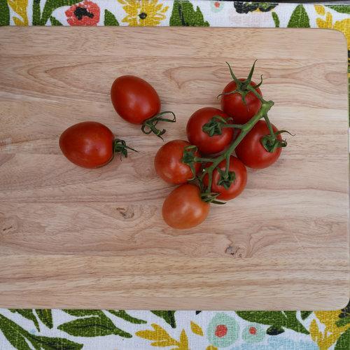 Tomates Garden Gem