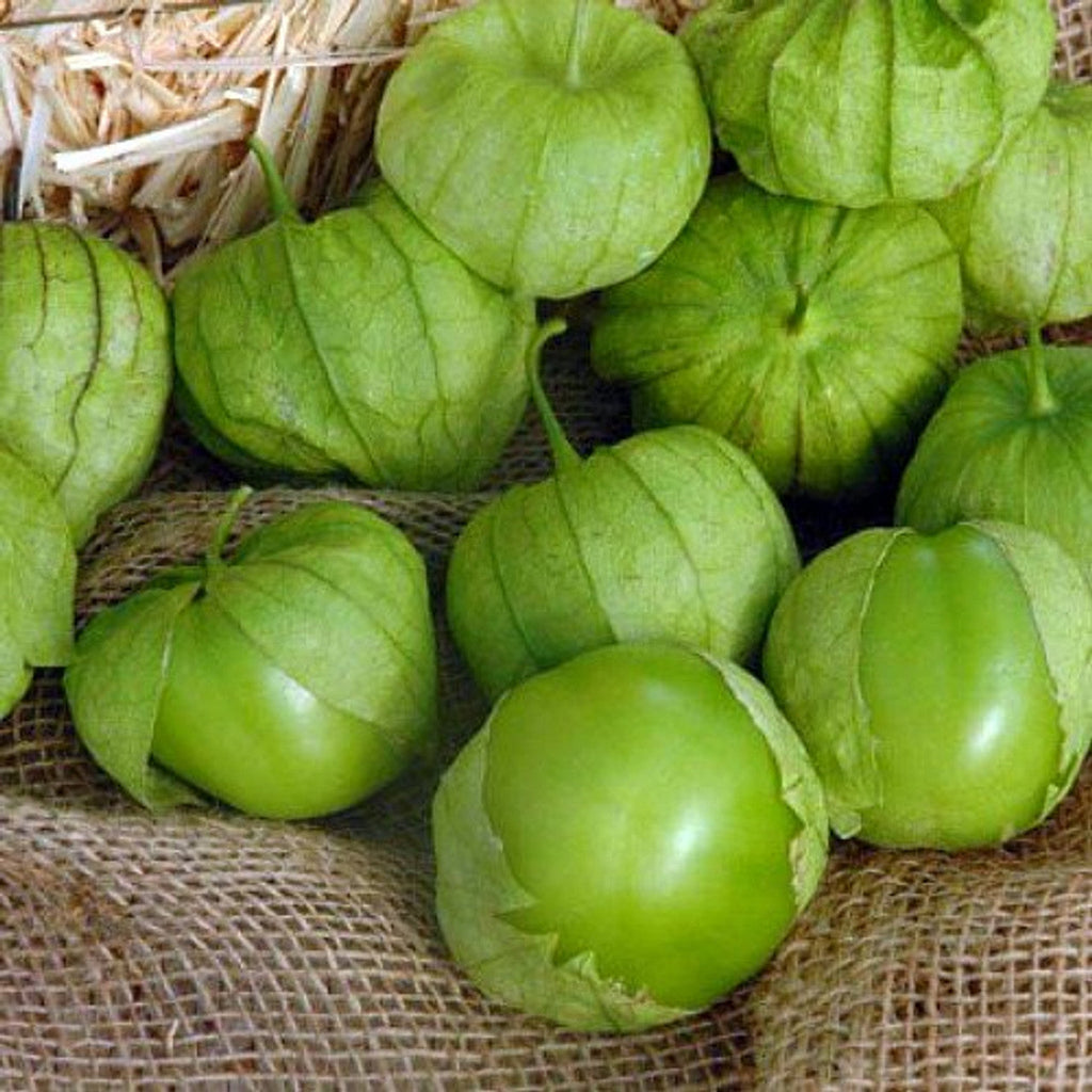 Semillas de Tomatillo Super Verde