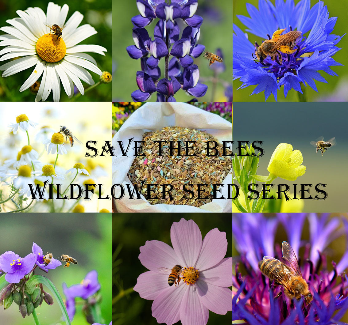 🐝Amigable con los insectos🔥Más de 60 semillas de flores perennes variadas🌿Puras sin OMG