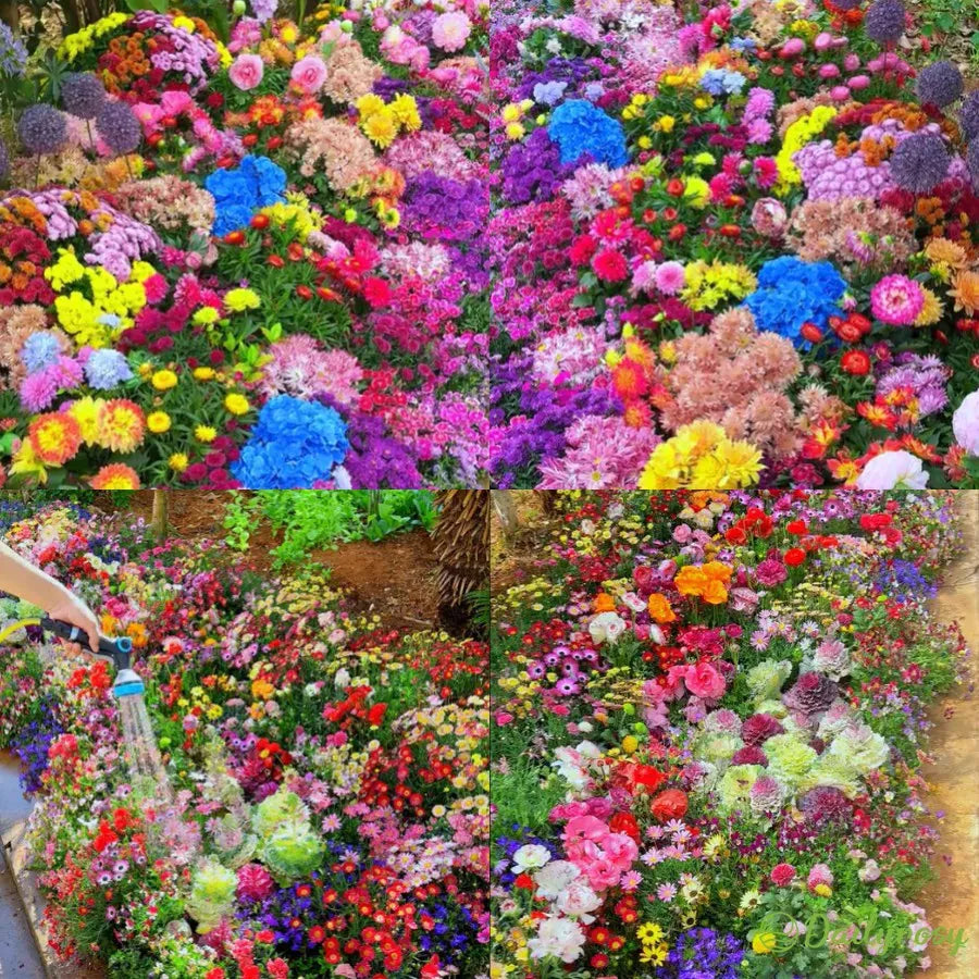🐝Amigable con los insectos🔥Más de 60 semillas de flores perennes variadas🌿Puras sin OMG