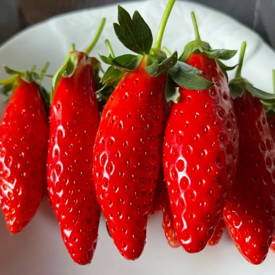 Semillas raras de frutas de plátano y fresa