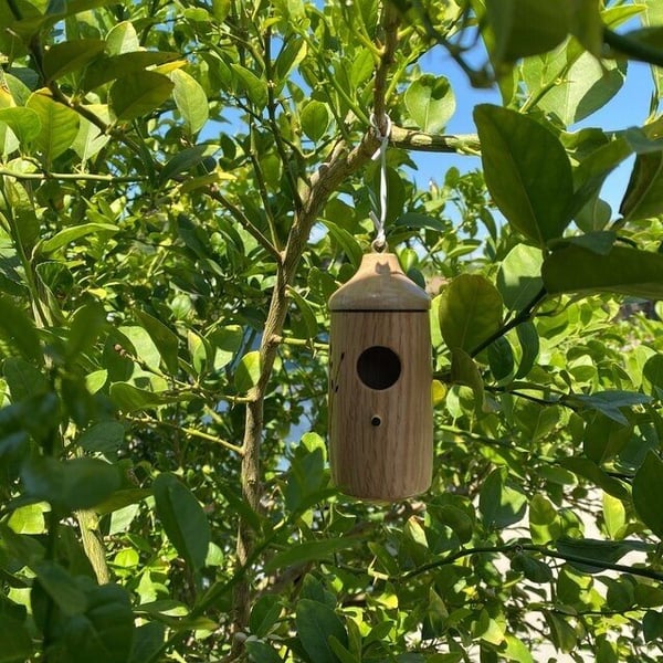 💕Casa de Colibríes de Madera - Regalo para Amantes de la Naturaleza
