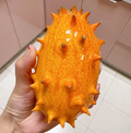 Semillas de Fruto de Ginseng de Fuego
