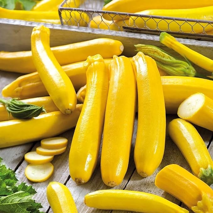 Banana Zucchini Seeds