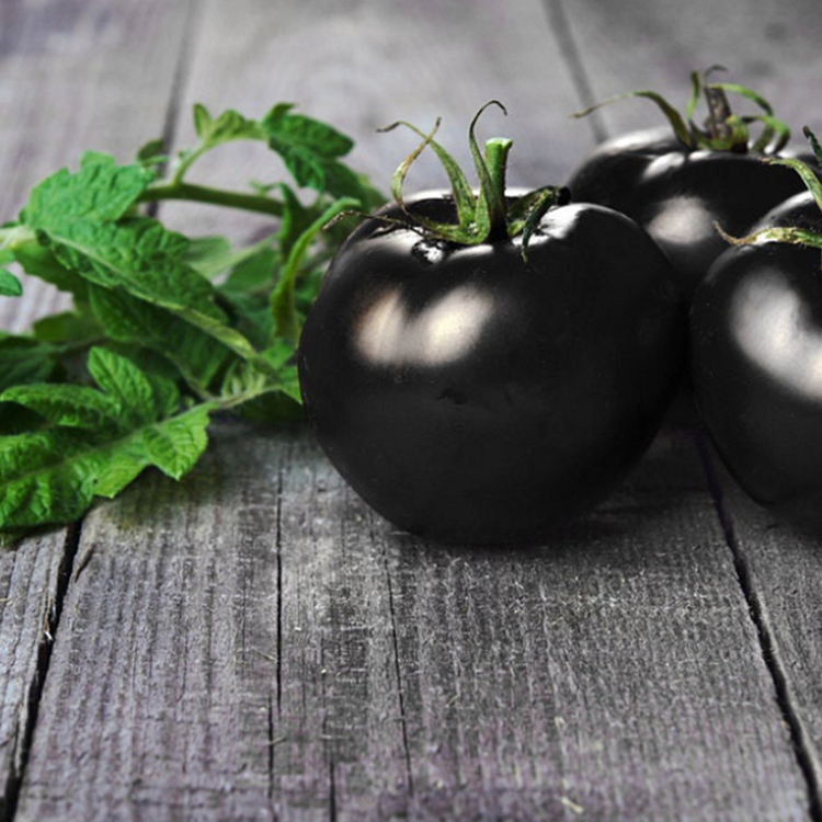 Semillas Raras de Tomate Negro