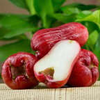 Semillas de fruta de manzana de cera🍹