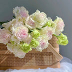 Eustoma-Rizos de Helado-Elegancia Graciosa en Cada Pétalo