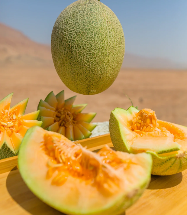Semillas de melón cantalupo reticulado