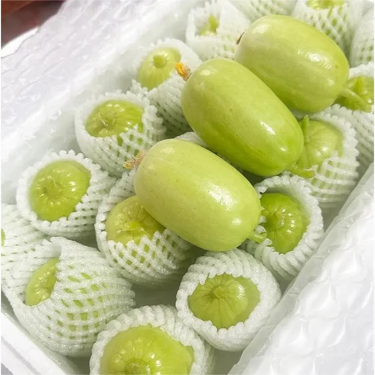 🥒 Pepino Jade Maiden - Dulce, Crujiente y Refrescante