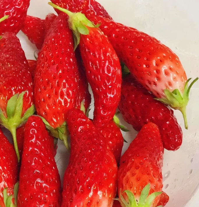 Semillas de fruta de fresa con chile raras