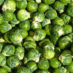 Brussels Sprouts Seeds