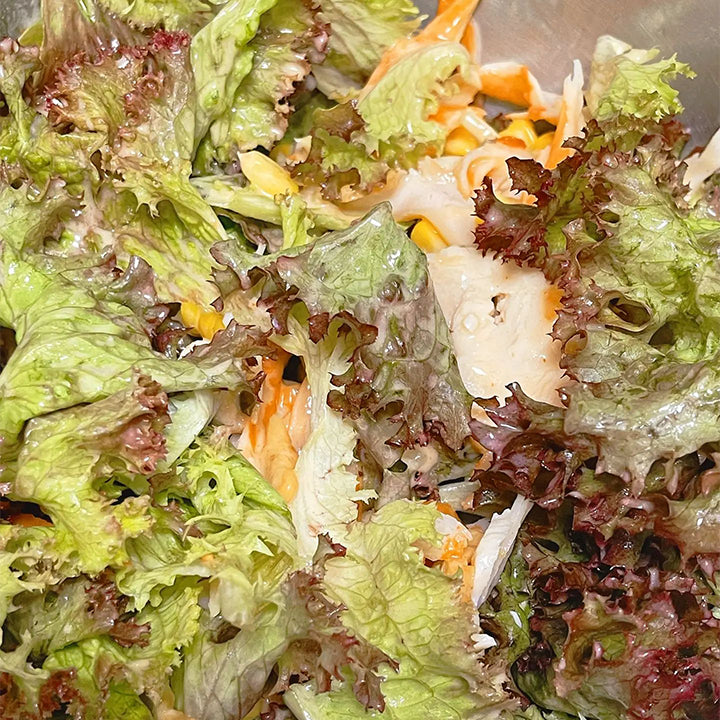 Semillas de lechuga orgánica