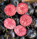 Semillas de ginseng de frutas rojas-Fruta araña