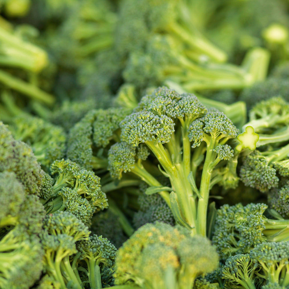 🥦Semillas raras de broccolini