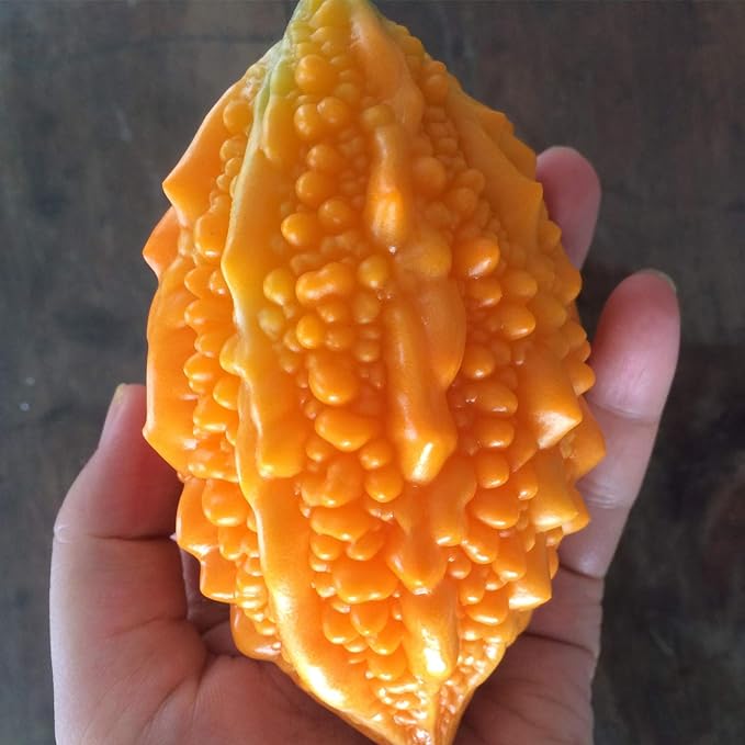 Semillas de uva Lai para jardín Semillas de calabaza amarga