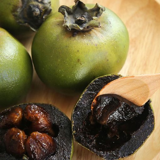 Semillas de Zapote Negro