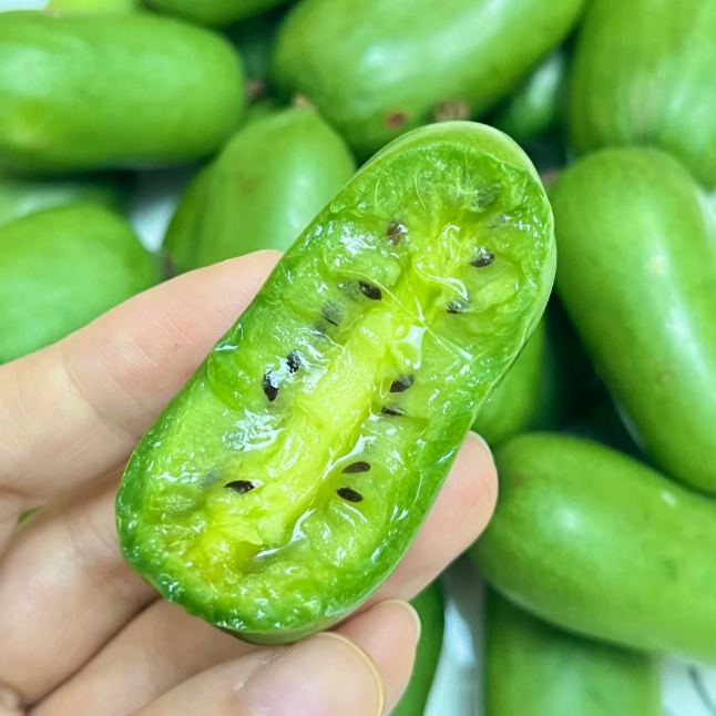 Semillas de kiwi dátil blando