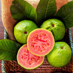 Semillas de guayaba rosada orgánica tropical de fresa y guayaba