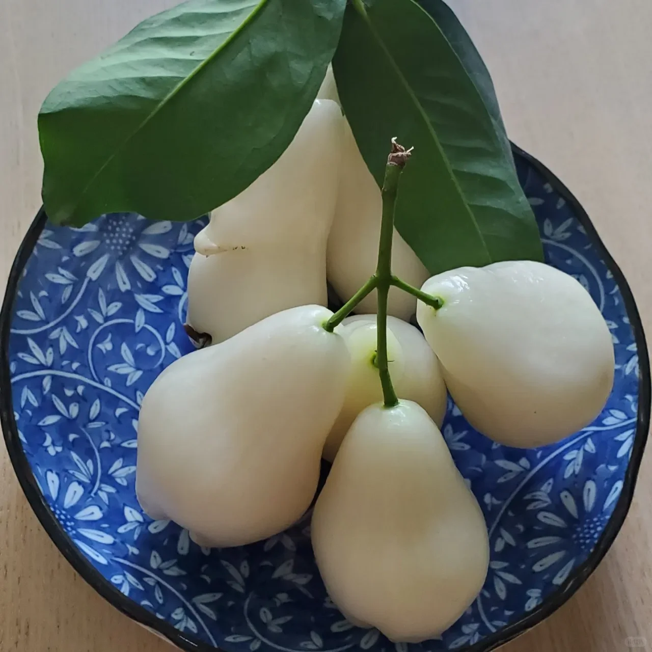 Semilla de bruma de loto de jade blanco🍹