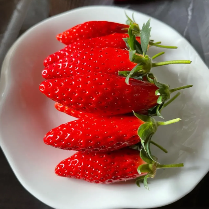 Semillas de fruta de fresa con chile raras