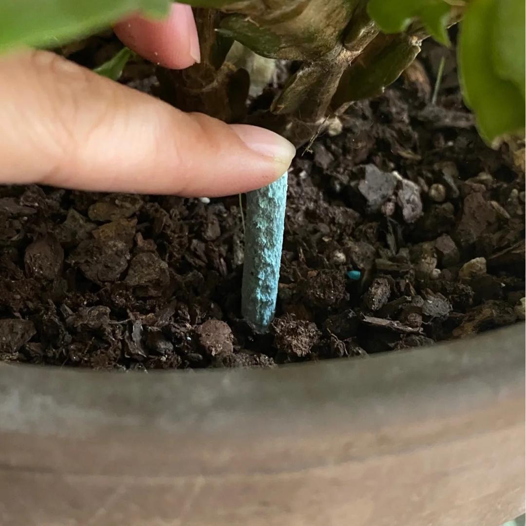 💚Barras de nutrientes - El secreto para plantas hermosas y exuberantes🌸