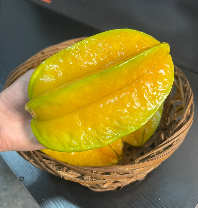 Semillas de carambola Four Seasons