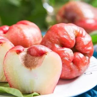 Semillas de fruta de manzana de cera🍹