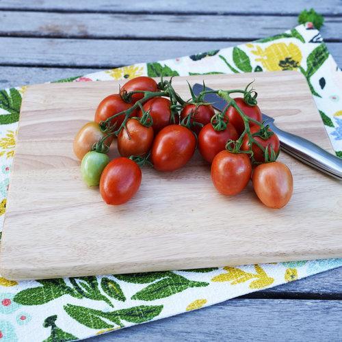 Tomates Garden Gem