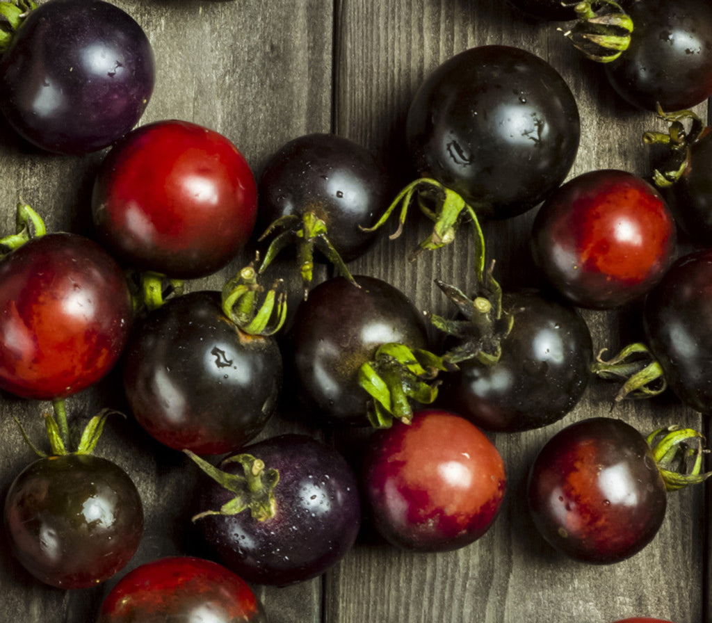 Semillas de tomate cereza Midnight Snack